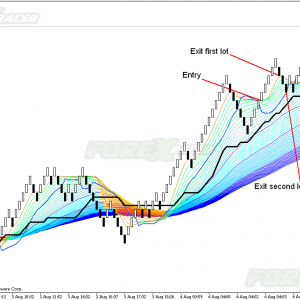 Forex Pro's Secret System