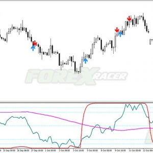 STC Trading System