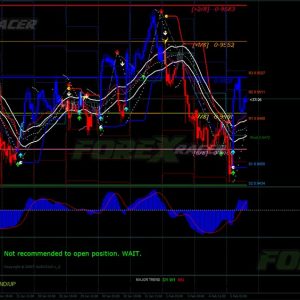 Forex Master System