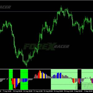 Momentum Reversal Detector