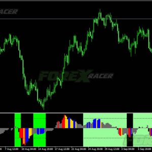 Momentum Reversal Detector